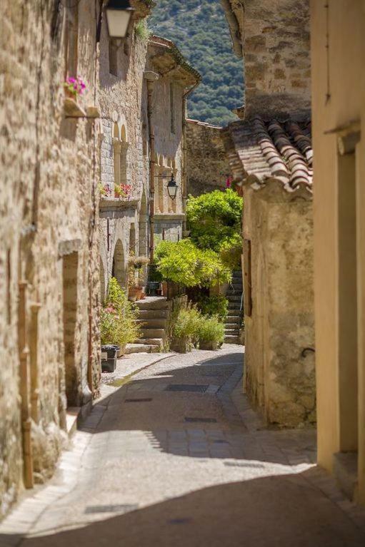 Charmante Maison A Saint Guilhem Le Desert Экстерьер фото